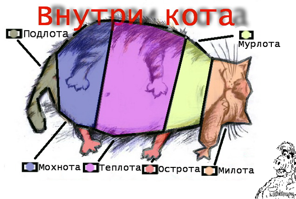   , 