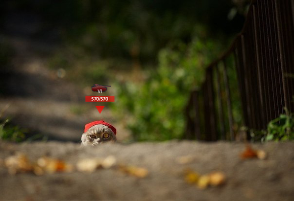 ? World of Tanks, , 