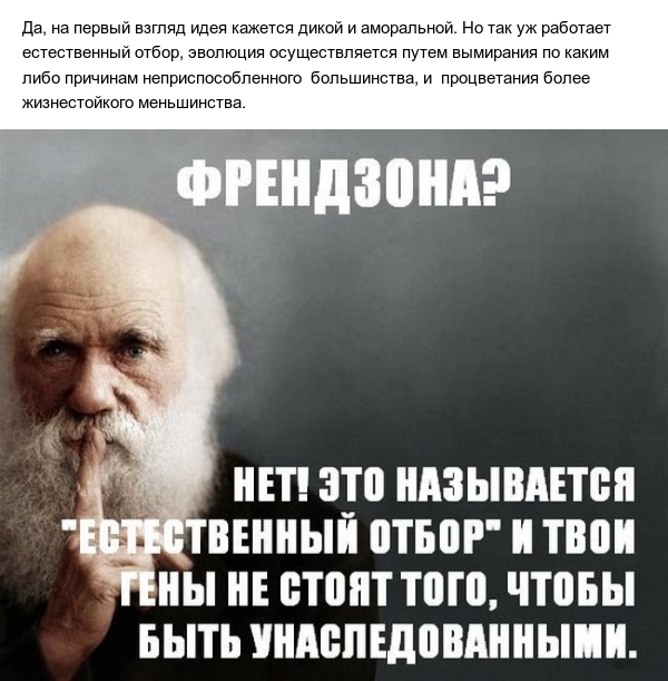 The idea of ??the superman through the prism of Darwin's theory. - My, Nietzsche, Superman, Charles Darwin, Natural selection, Longpost