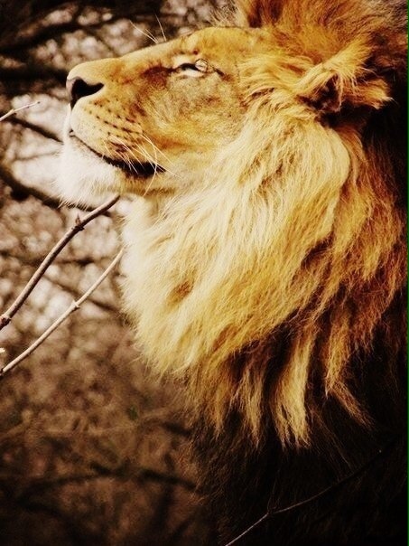 ������ ���� � ���� ����. ���� ����� ������.