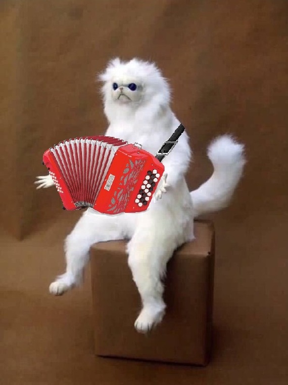 ����� �������� ����...