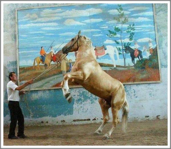 Можно ли отыскать прямых потомков Барса - родоначальника орловских рысаков?