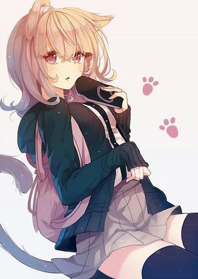 Neko 5