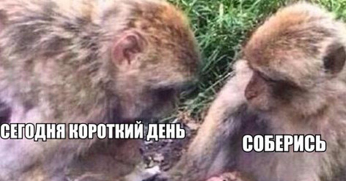 Дай мне собраться