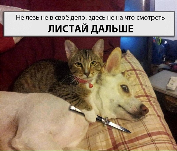 А ты, как всегда, просто пройдешь мимо...