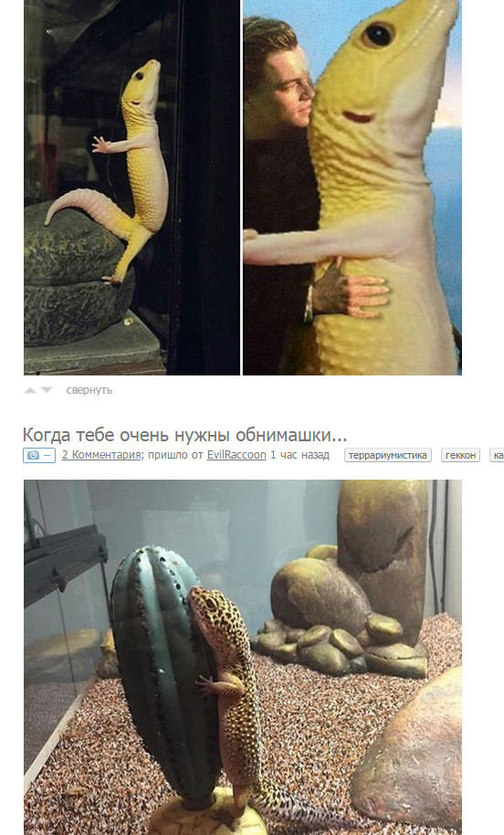 Совпадение, не думаю...