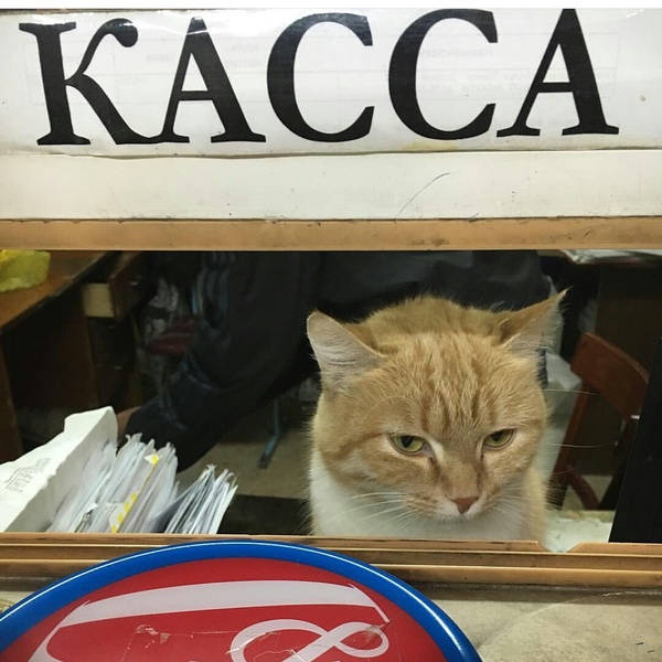 ������ �� �������� �� �����