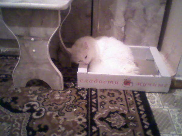 ����� ��������� �������, �� ��� ��� �� ��������