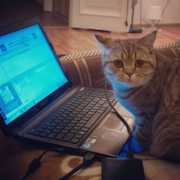 ��� ������