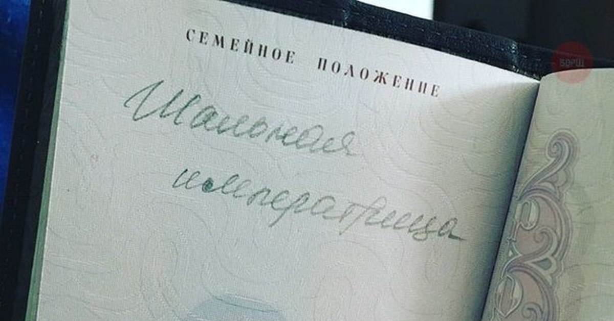 Семейное положение дети. Семейное положение в паспорте. Шальная Императрица паспорт. Надпись паспорт. Отметка в паспорте Шальная Императрица.