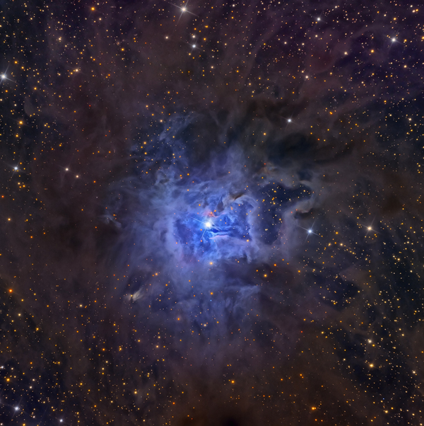 Nebula NGC 7023 Iris. - Nebula, Space, Stars, Photo, Longpost