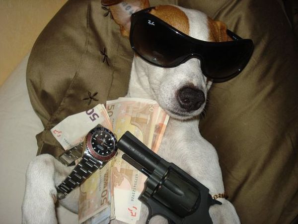 Джеки,деньги,два ствола