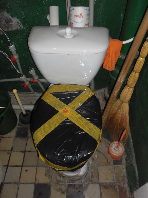 ���� ������ ������?