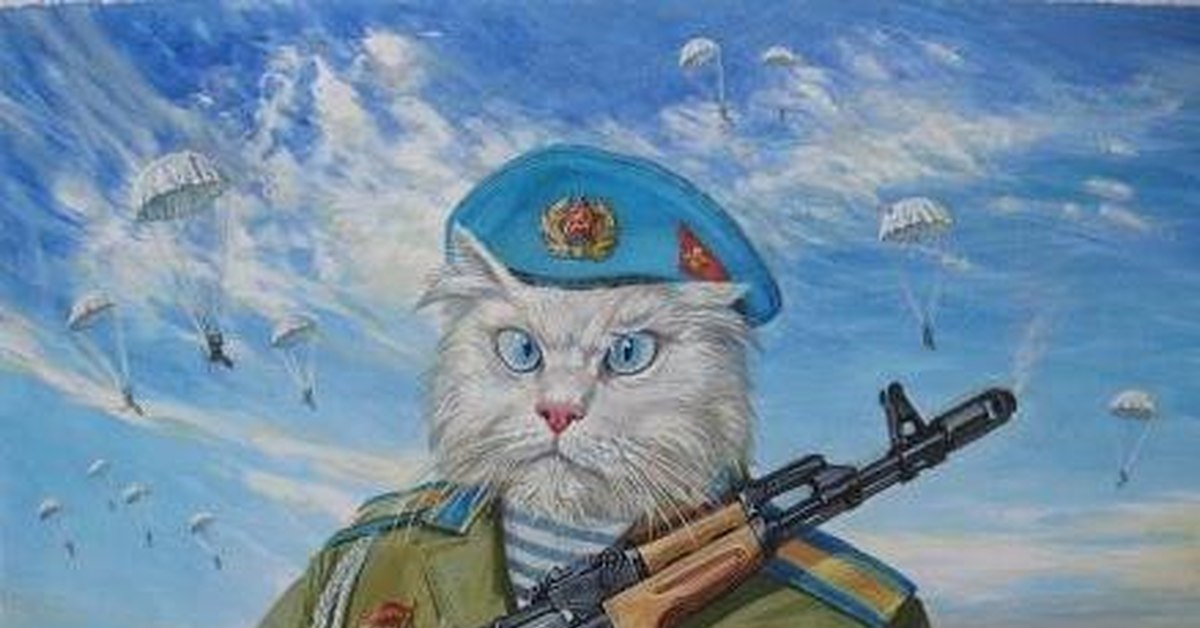 С днем защитника котиков. Военные коты. 23 Февраля кот. Кот десантник. С 23 февраля котики.