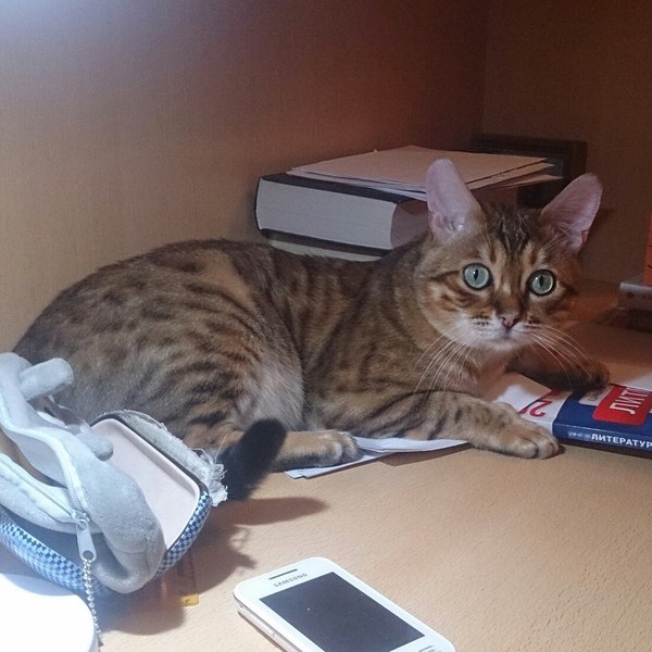 �������� ����� ����! �����-���������!