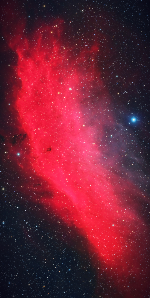   NGC 1499 "" , , , , Ngc 1499