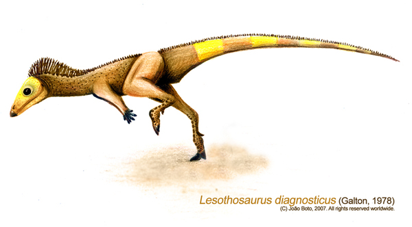  ,  , , , , Ornithischia, , Lesothosaurus