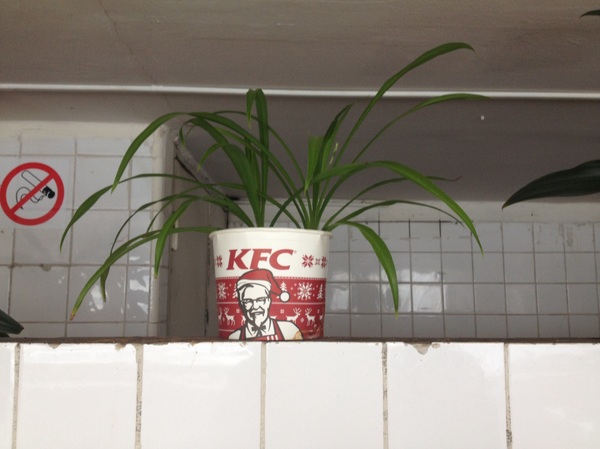 KFC   