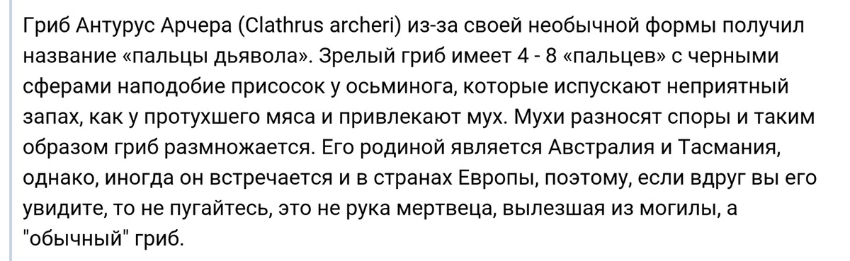 Что означает 23 23 на часах – значение послания в …