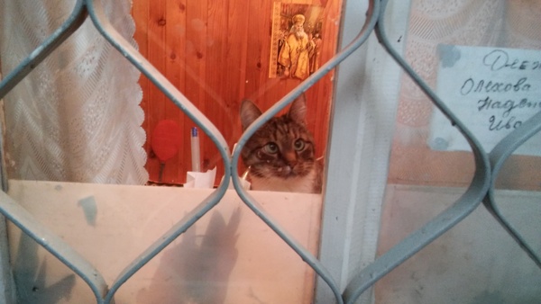 Заходишь в подъезд, а там новый консьерж
