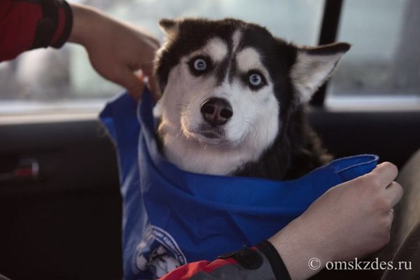 Ну что вы снимаете, я же переодеваюсь!