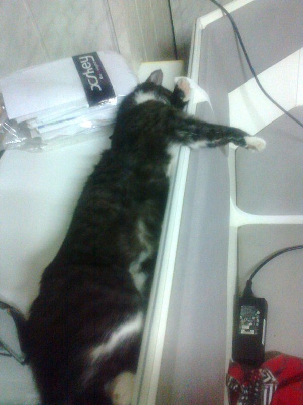 ����������� ��� ������ ������, ���� � ���� ���� ����.