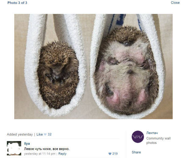 � �������� ��� �������� �� �����, ������ ��� �� �� ����� ���������� � ������