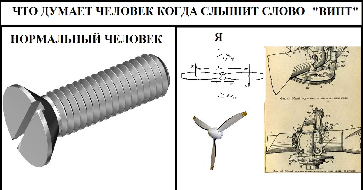 Где встречается винт. Винт нормальный. Слово винт. Винт юмор. Винт физика.