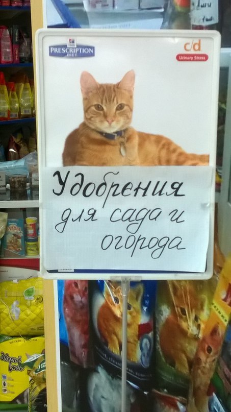 � ��� �� ���������?