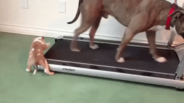  .. )