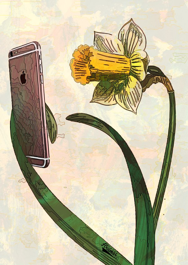 ���� ������� ������ � ������ ��������� ���������.  ������ �����