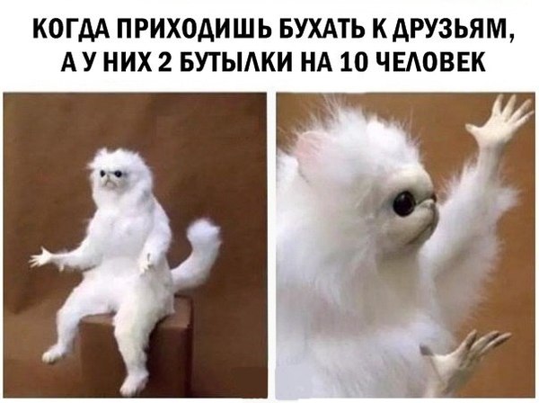       , MDK, , , , 