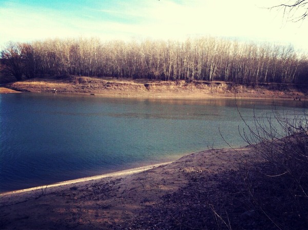 �������� ��������