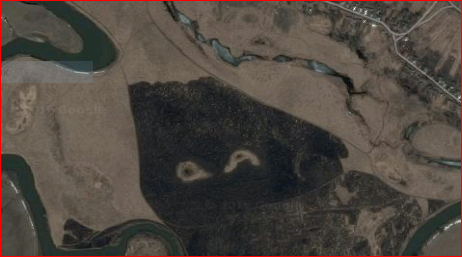 Лес с подтверждением