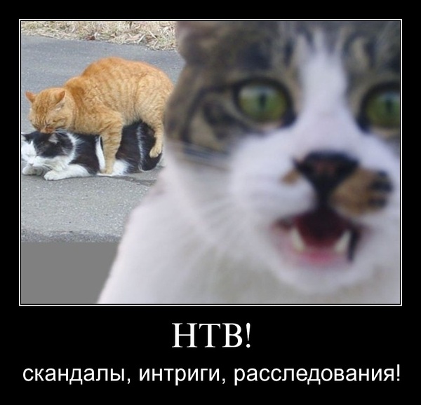 антонио гарсиа винодел биография. 1456424033160892919. антонио гарсиа винодел биография фото. антонио гарсиа винодел биография-1456424033160892919. картинка антонио гарсиа винодел биография. картинка 1456424033160892919.