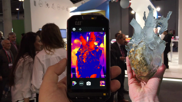 Сердце бывшей