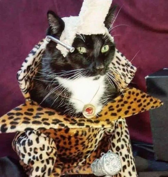 ����� ������ �������