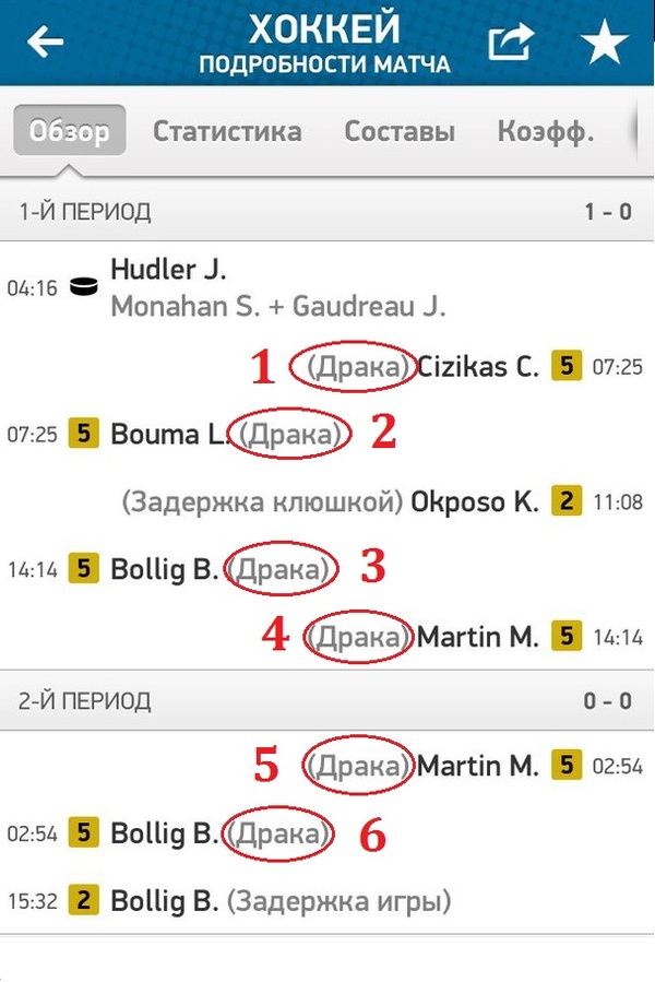 В этом весь хоккей