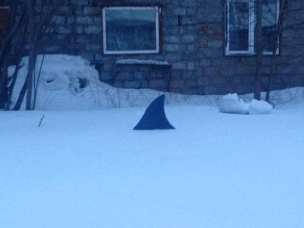 ��� �������� � �����