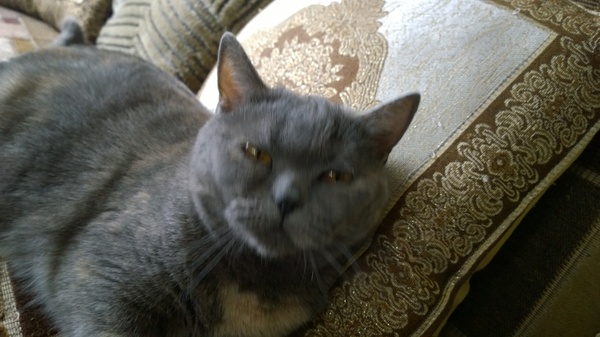 ������-�����������