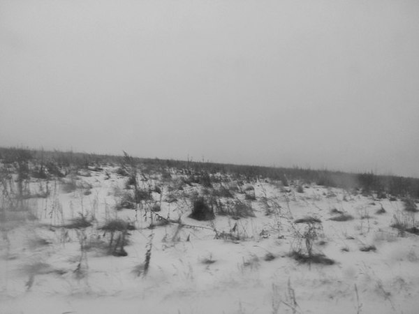 �������. ��� �������.