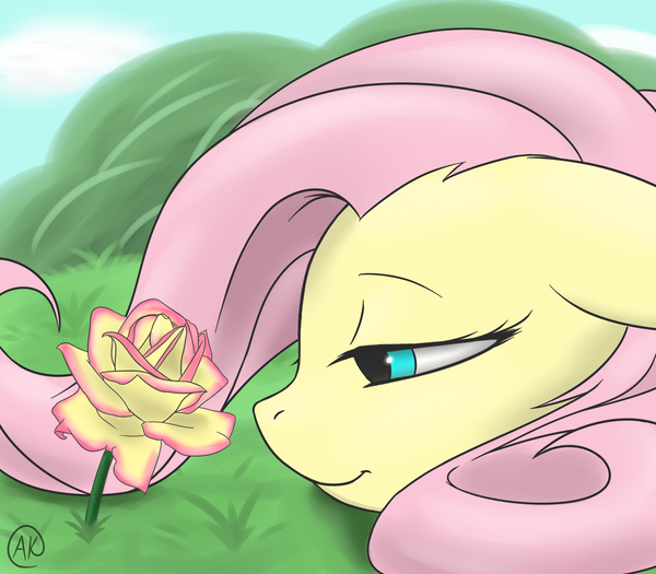 A Delicate Rose My Little Pony, Fluttershy, , , 