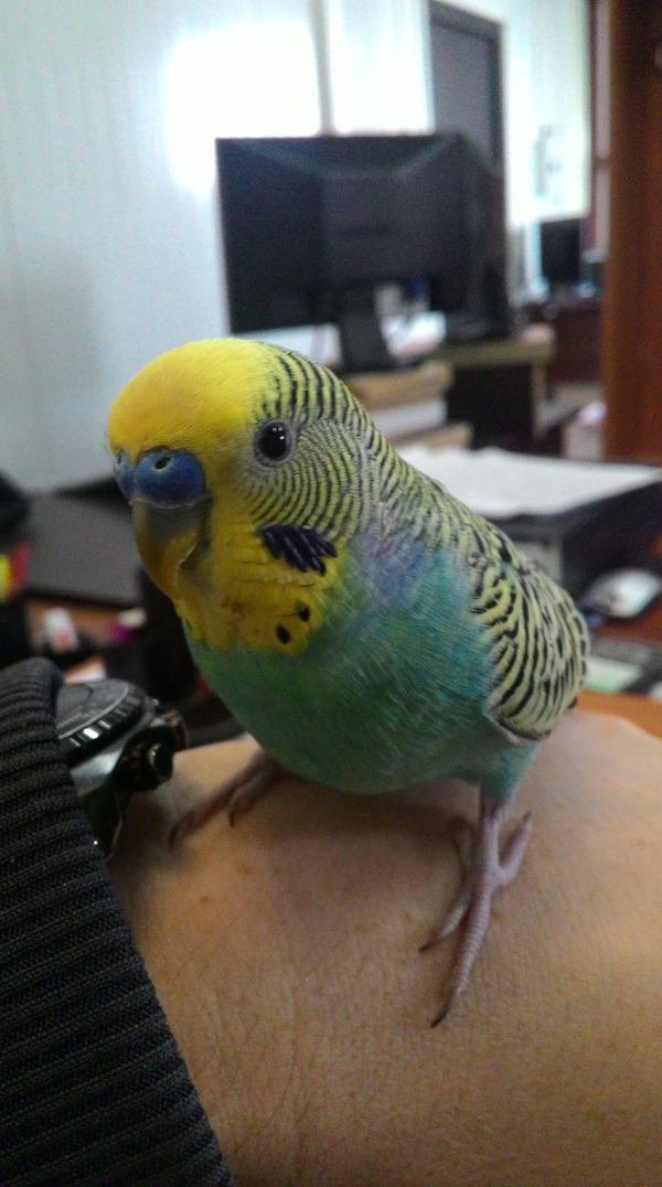 Работник месяца