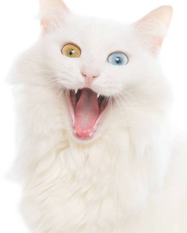 �� �� � ������ �� ����!