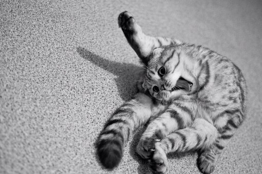 Жизнь хороша,как ни крути!