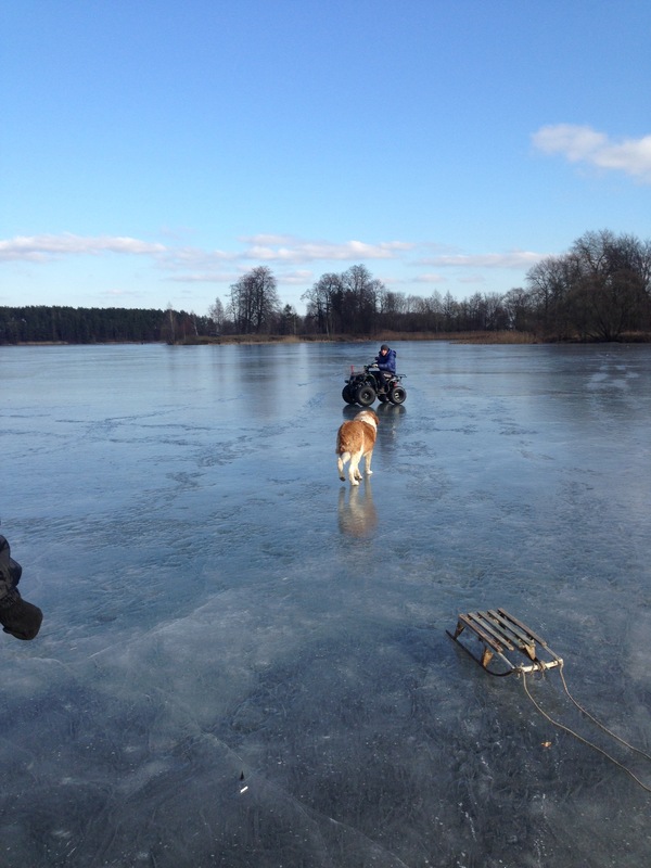 ���������)))    ������ �� ����� ������.