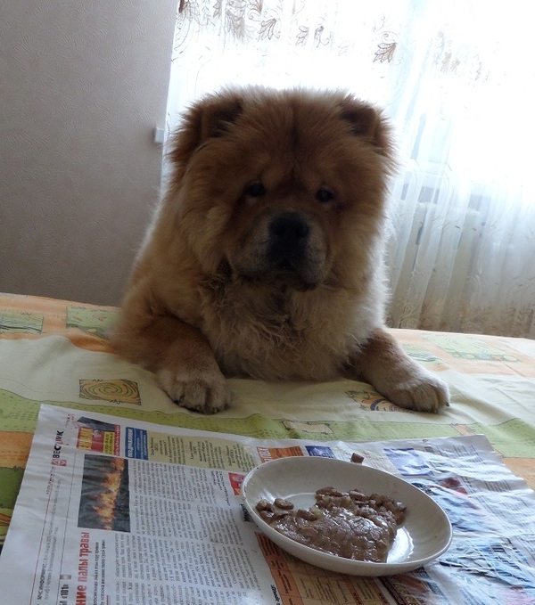 Когда кота покормили, а тебя - нет