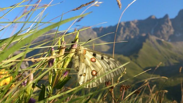 ������� ������� � �����