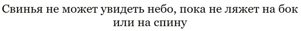      3  ,  ,    .