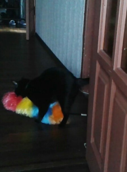 �����, ����� ��� �����������?... �����...